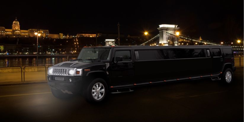 A black limousine is parked at the beautiful spot and there is also a chauffeur inside it